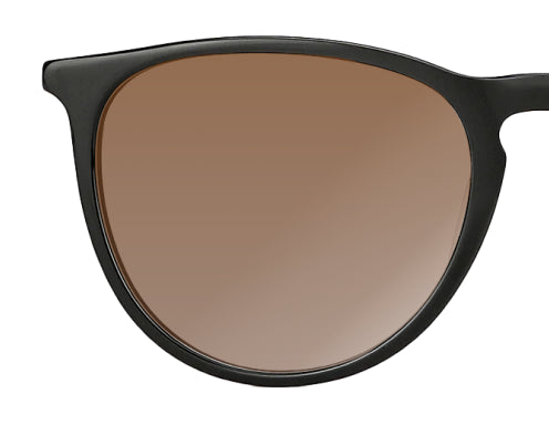 Brown Tinted Color Lenses
